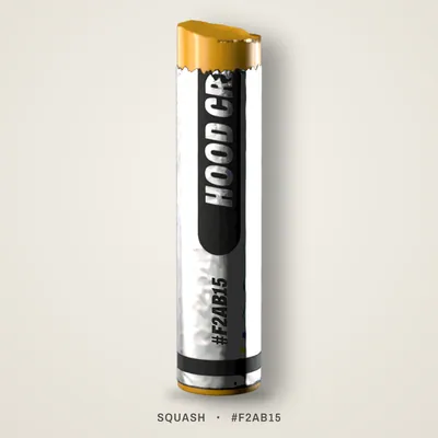 Squash crayon, #F2AB15