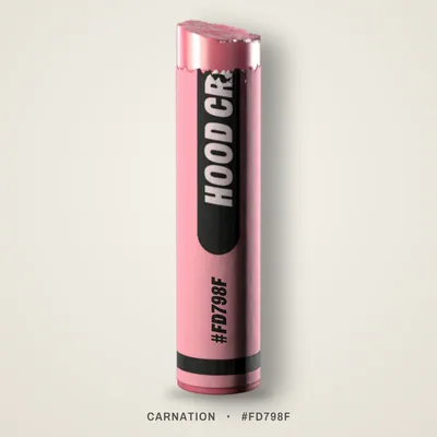 Carnation crayon, #FD798F